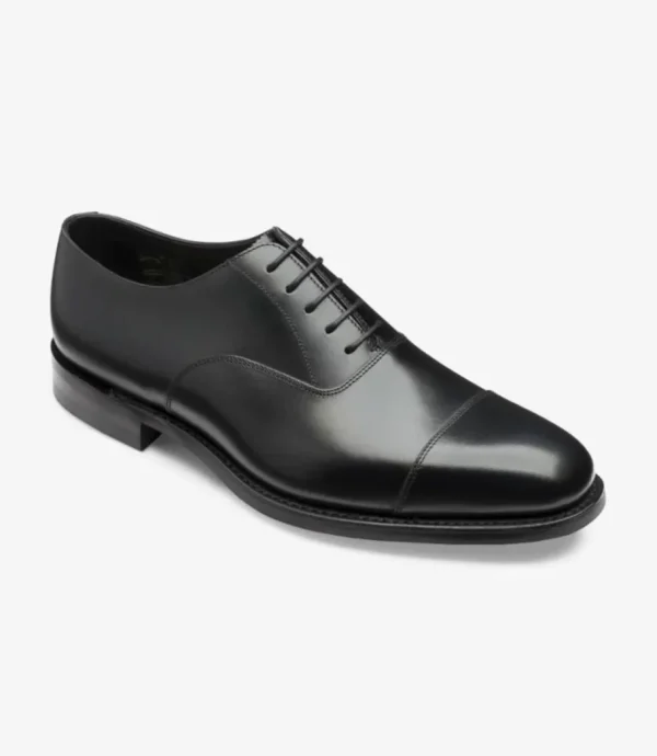Treger Aldwich Black Clearance